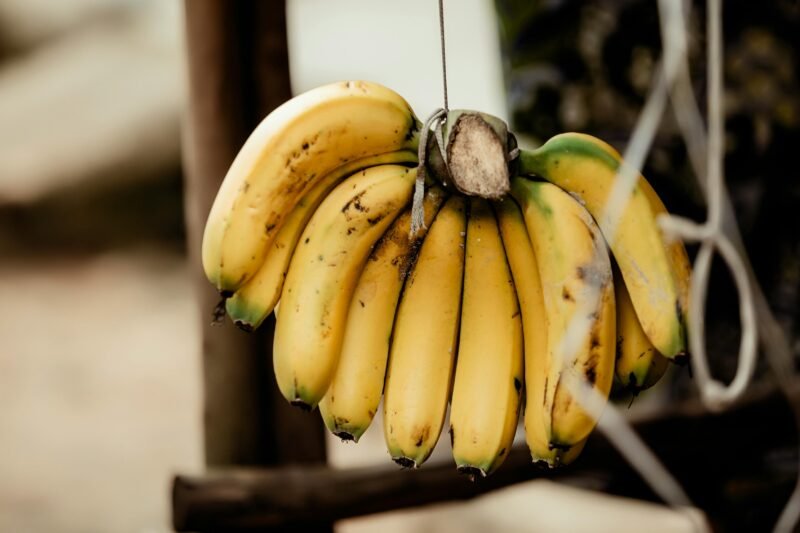 Banana Peels: More Harmful Than You Think